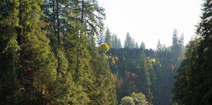 9 Capilano Bridge