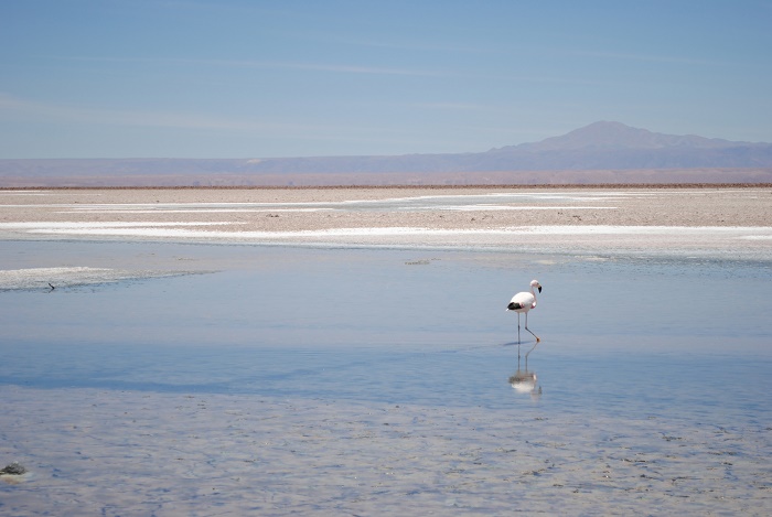 2 Salar Atacama