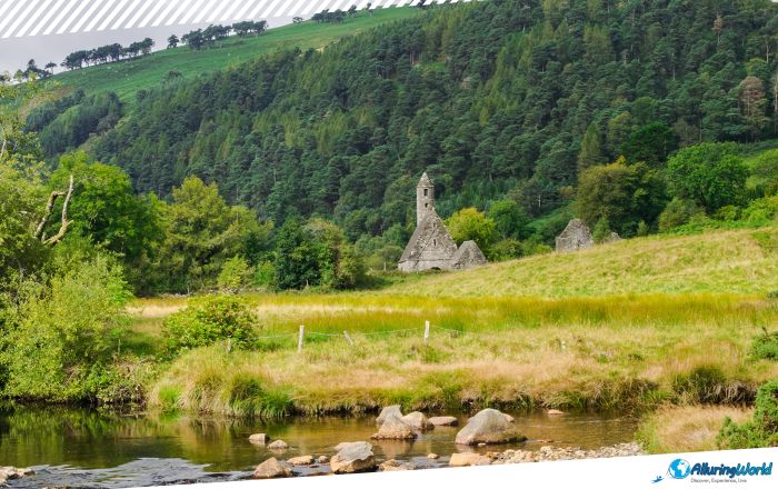 3 Saint Kevin’s Kitchen