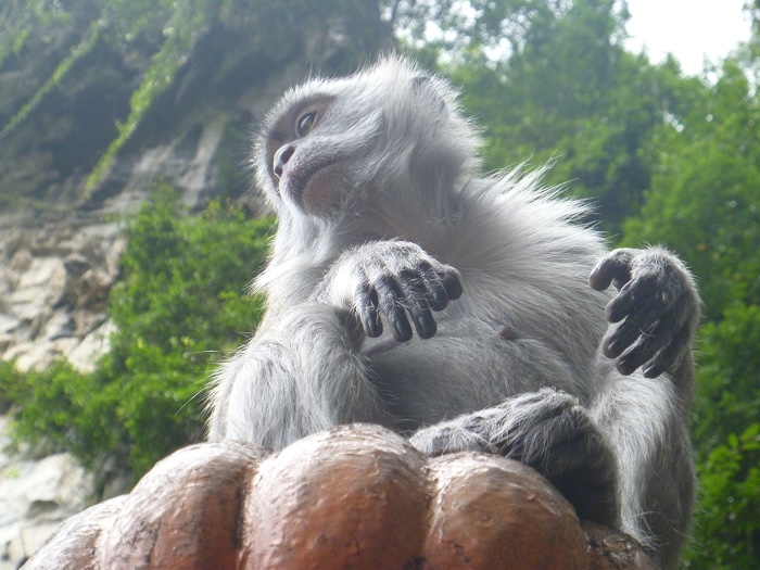 4 Batu Caves