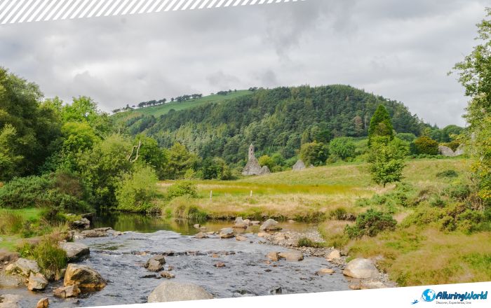 5 Saint Kevin’s Kitchen