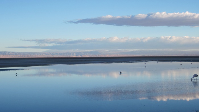 5 Salar Atacama