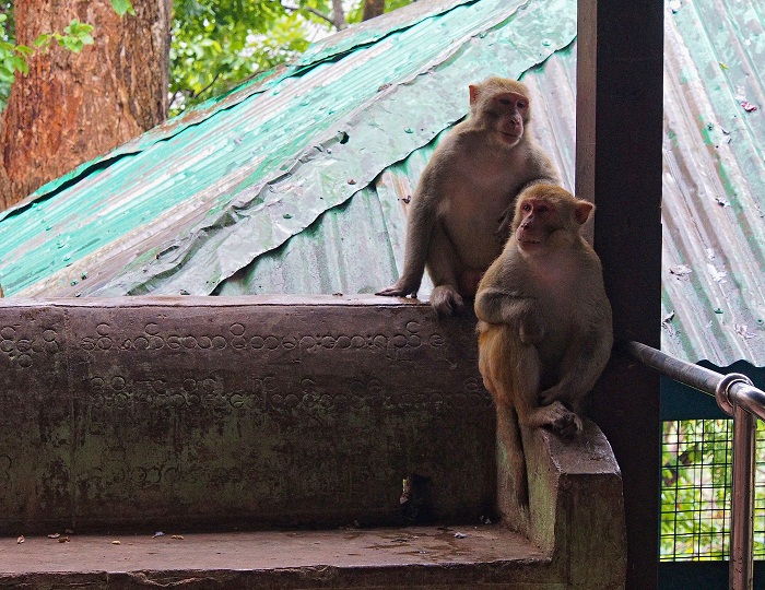 6 Taung Kalat