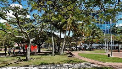 5 CoconutSquare