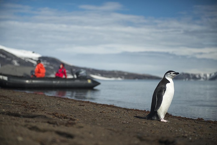 3 Deception Antarctica