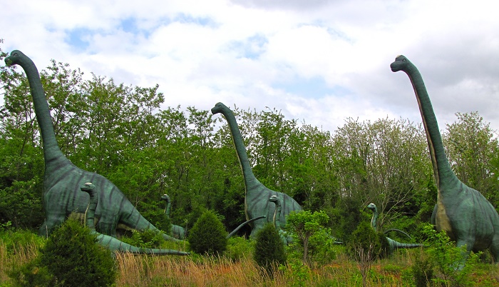 8 Dinosaur Kentucky