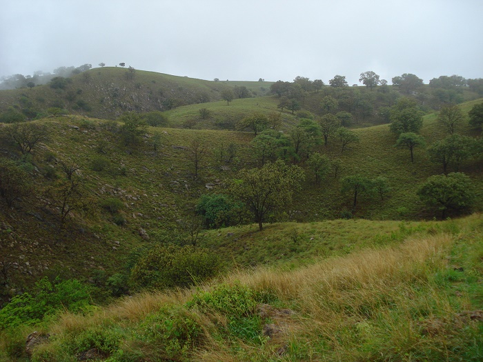 5 Barranca Oblatos