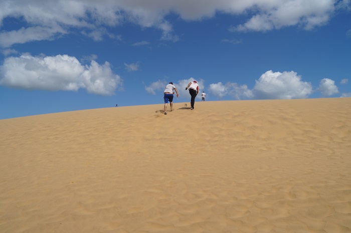 6 Medanos de Coro