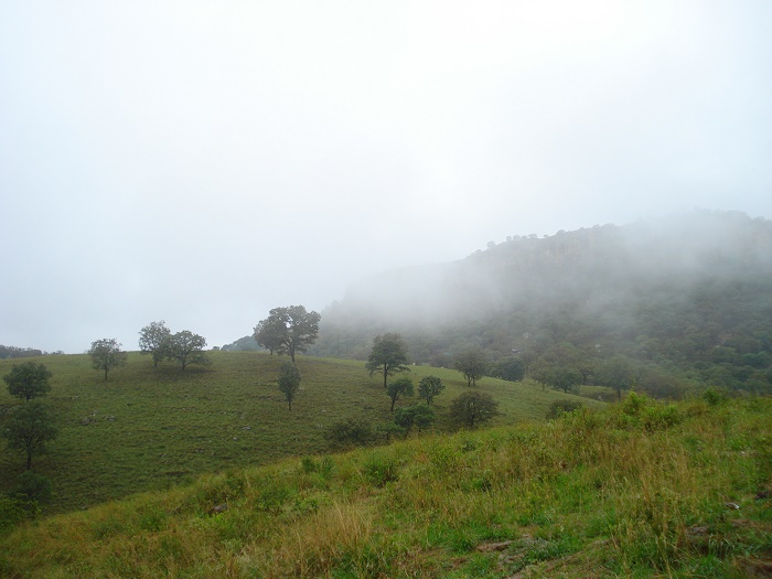 7 Barranca Oblatos