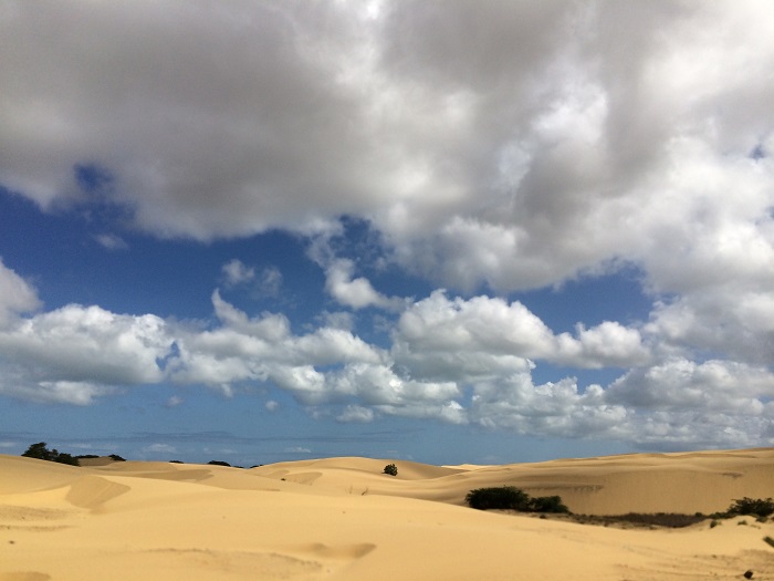 8 Medanos de Coro