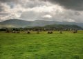 2 Castlerigg Circle