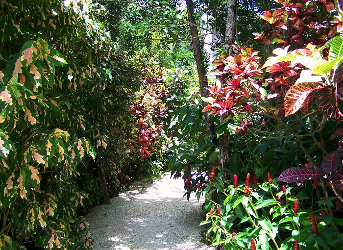 2 Cayman Botanic