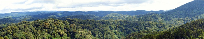 2 Nyungwe