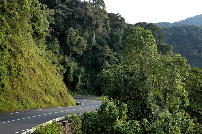 3 Nyungwe