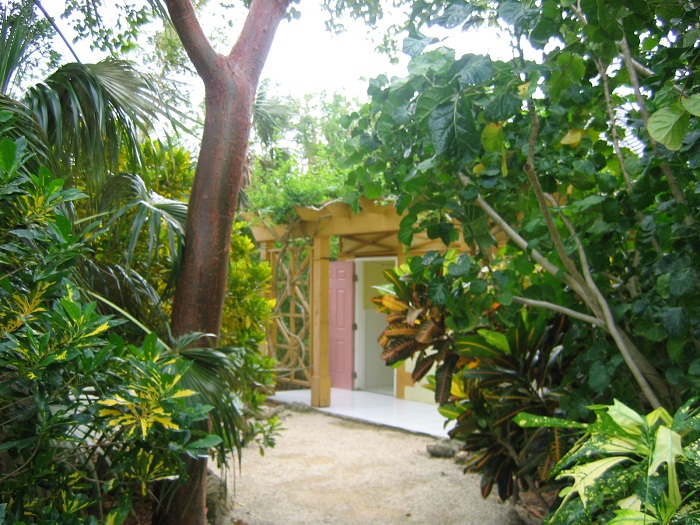 6 Cayman Botanic