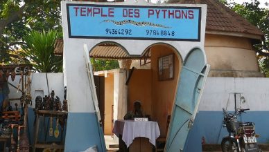 1 Pythons Benin