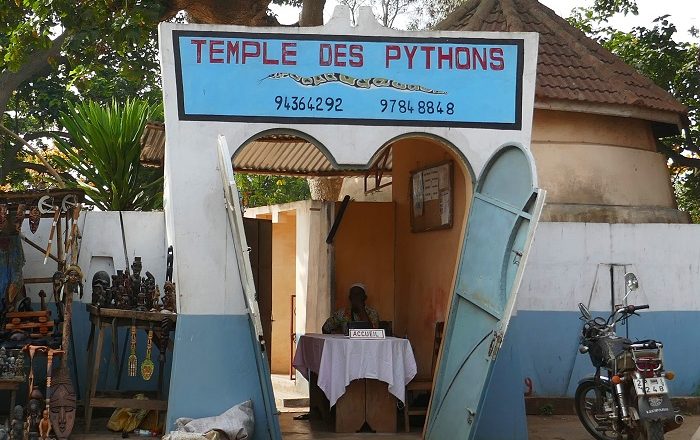 1 Pythons Benin
