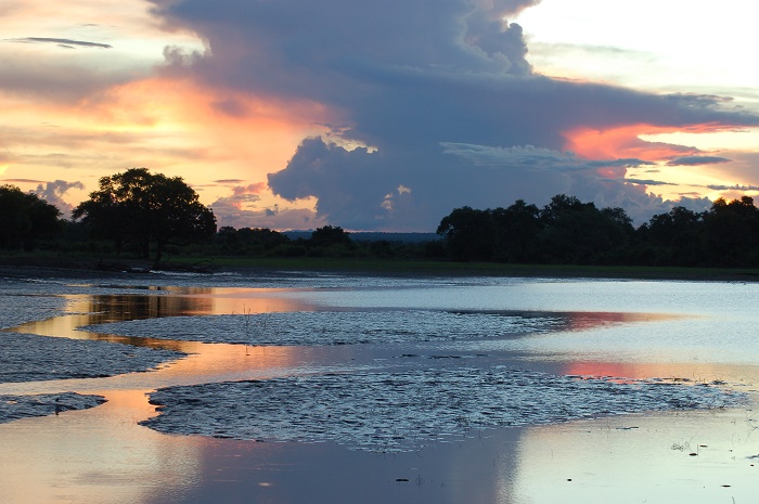 1 South Luangwa