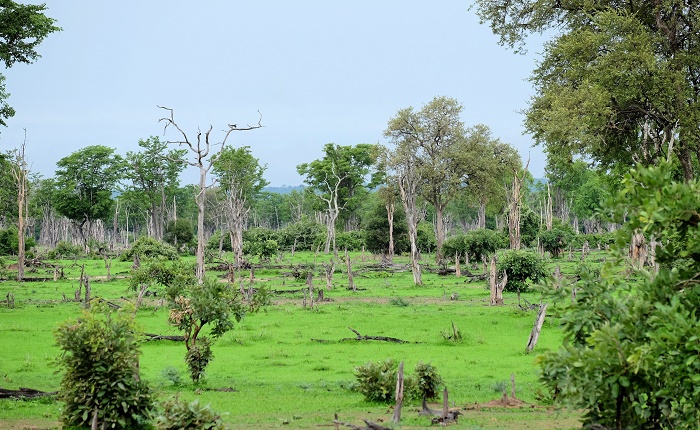 7 South Luangwa