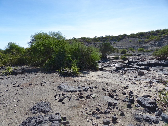 12 Olduvai