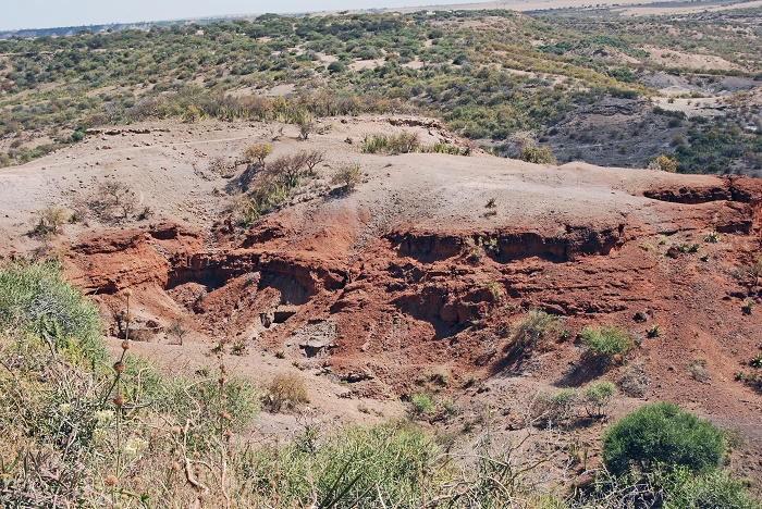 6 Olduvai
