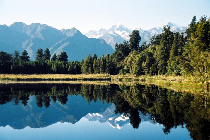 4 Fox Glacier