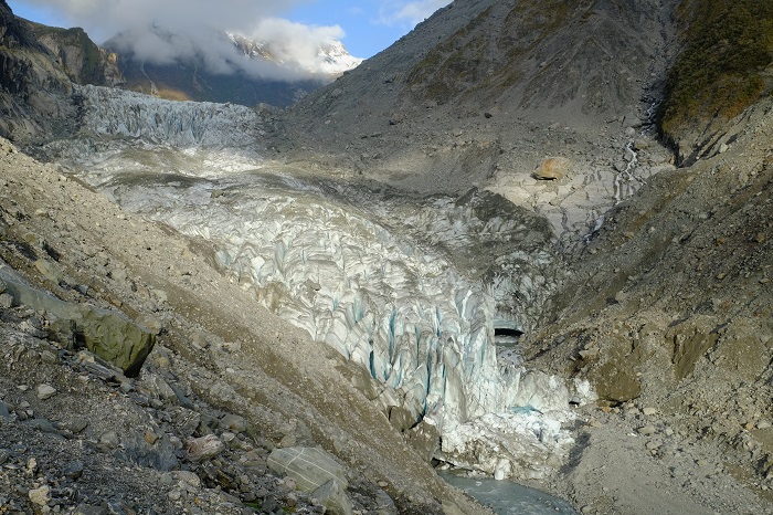 7 Fox Glacier