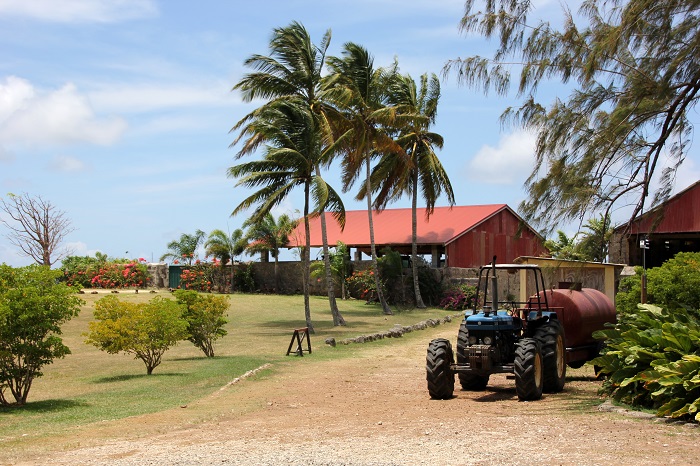 8 Abbey Barbados