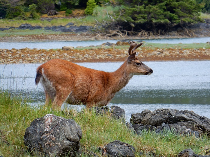 2 Gwaii Haanas