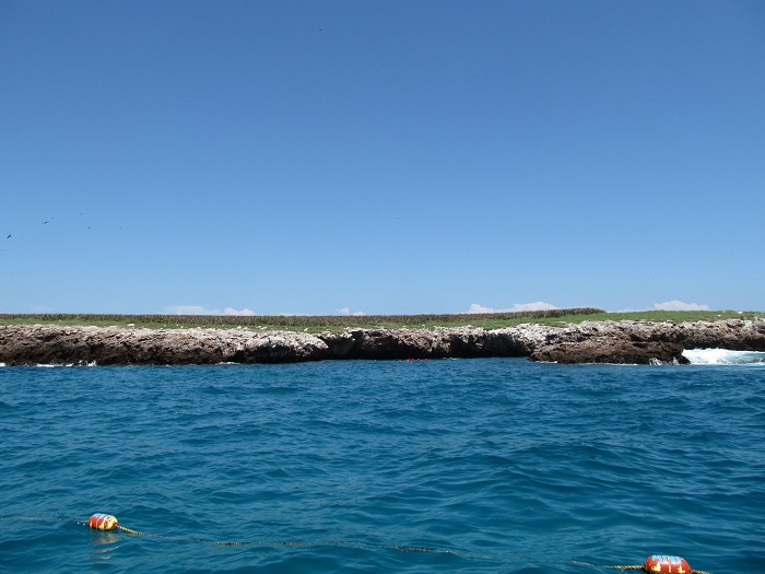 7 Marietas