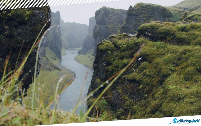 6 Fjaðrárgljúfur Canyon in Iceland