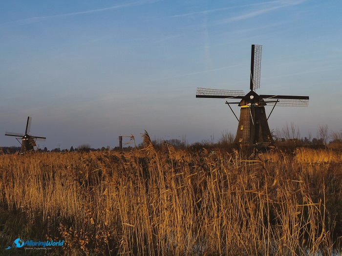 10 Kinderdijk