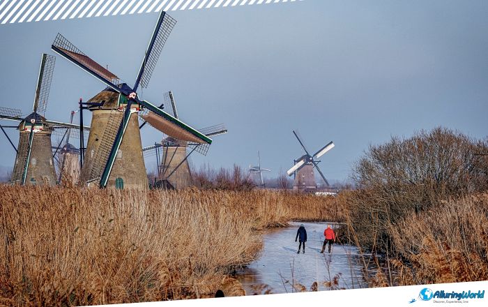 8 Windmills at Kinderdijk in the Netherlands