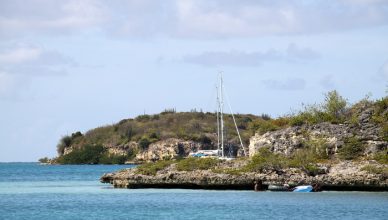 1 Bird Island