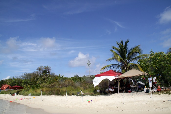 3 Bird Island