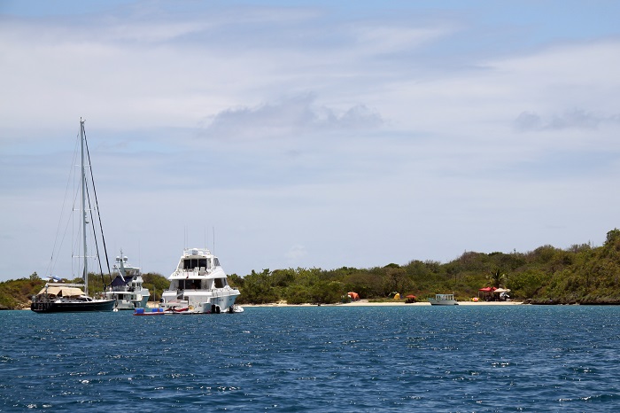 8 Bird Island