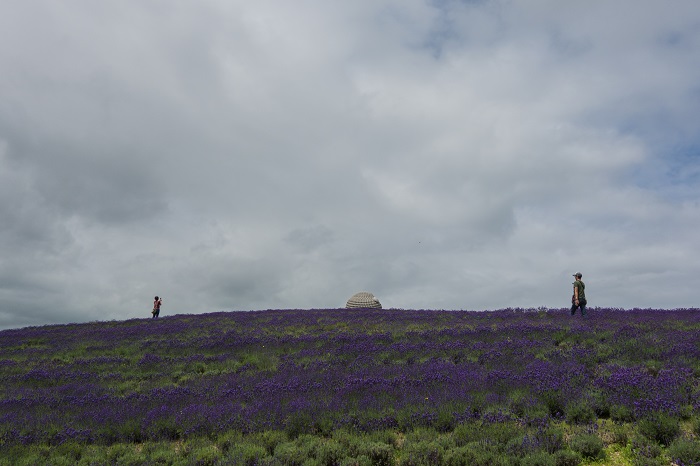 3 Buddha Hill