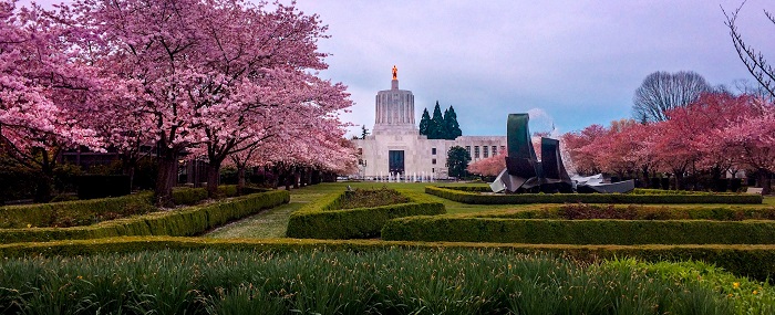 9 Oregon Capitol