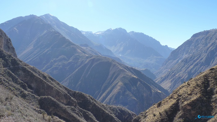 12 Colca