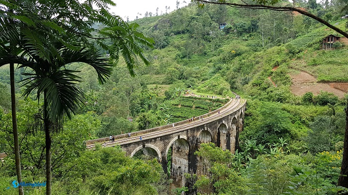 4 Arch Bridge