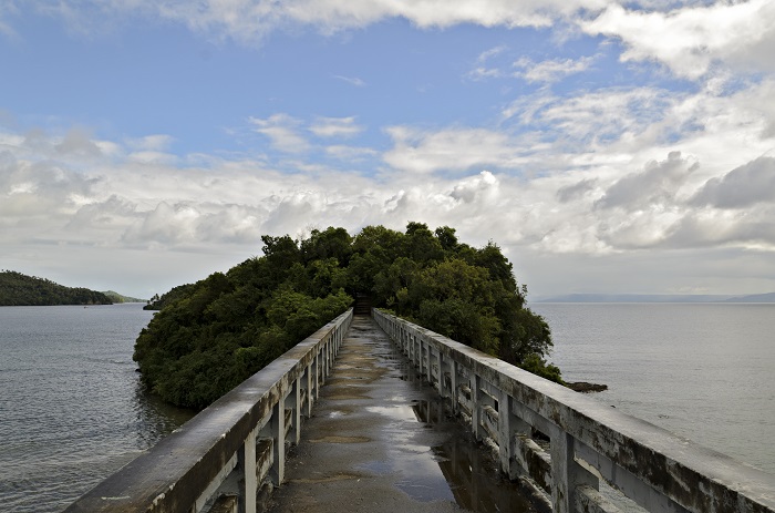 5 Samana Puentes