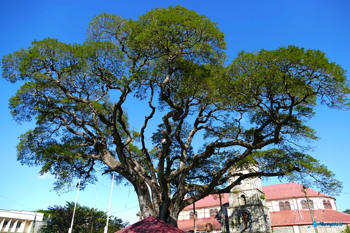 2 Castries Church