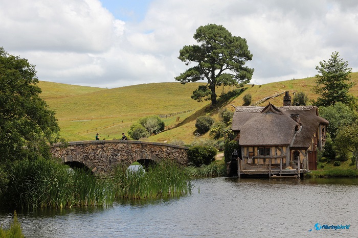 12 Hobbiton