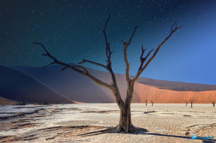 2 Deadvlei