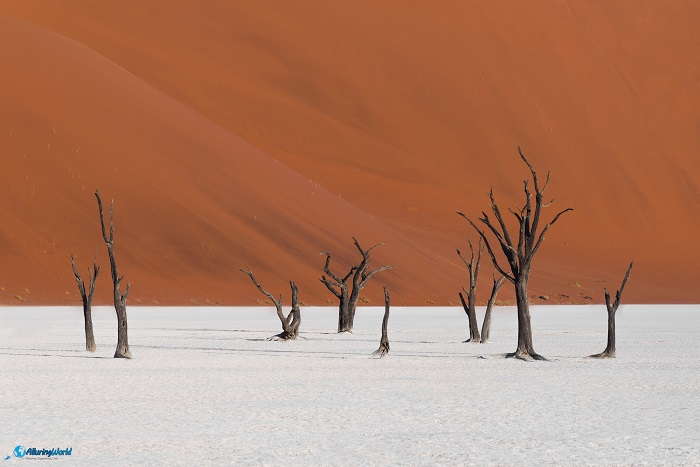 4 Deadvlei