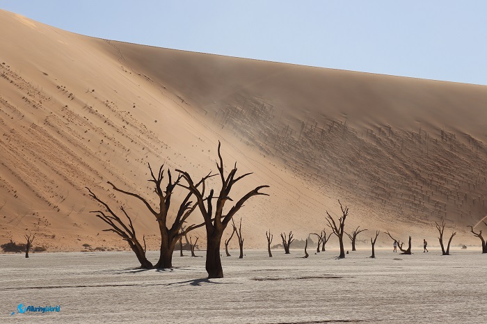 5 Deadvlei