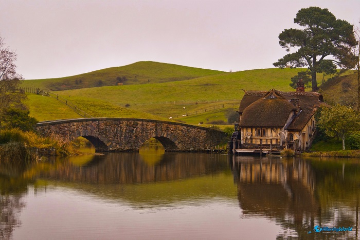 5 Hobbiton