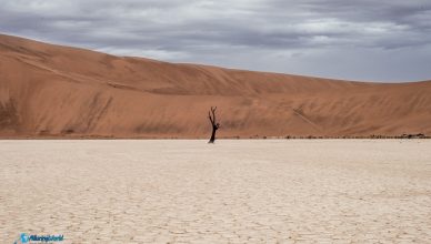 6 Deadvlei