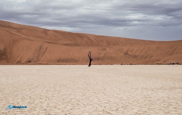 6 Deadvlei