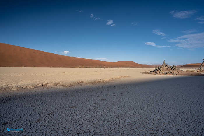 8 Deadvlei